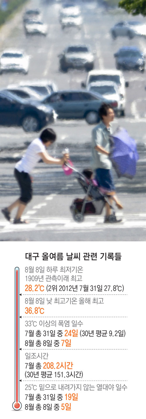 낮 최고기온이 36.8℃까지 치솟는 등 대구가 이글거리고 있다. 8일 달서구 달서대로에서 시민들이 열기로 가득 찬 아스팔트 위를 힘겹게 건너고 있다. 우태욱기자 woo@msnet.co.kr