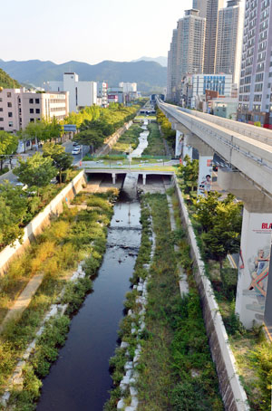 30일 오후 대구 수성구 범어천(두산오거리~어린이회관) 1.6㎞ 구간이 도심 속 생태하천으로 복원을 앞두고 제모습을 드러냈다. 대구시와 수성구는 연말까지 복원사업을 마무리하고 아이들이 물놀이를 즐길 수 있는 깨끗한 하천으로 만들 계획이다. 정운철기자 woon@msnet.co.kr