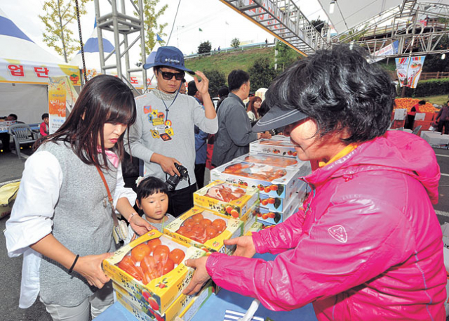 18~20일 열린 청도반시축제가 반시를 테마로 한 체험행사와 문화축제를 동시에 펼치며 관람객들로부터 호평을 받았다. 청도군 제공