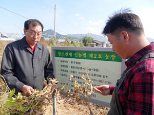 김왕경(왼쪽) 칠곡군농업기술센터 식량작물담당과 약목면의 콩 재배농 백옥현 씨가 철분코팅 종자로 재배한 콩 수확을 앞두고 작황에 대해 의견을 나누고 있다. 이영욱기자