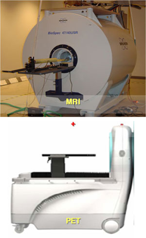 MRI/PET 융합영상 장비.