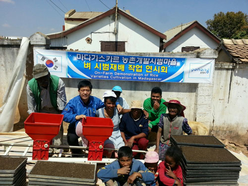 서석영 포항시농업기술센터 동부농업인상담소장이 아프리카 마다가스카르 소아비나시에서 우리나라 벼 모내기 기술을 전수하고 있다. 포항시 제공