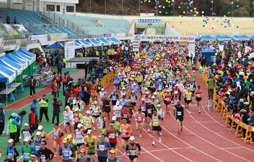 메이저대회로 성장한 영주 소백산마라톤대회 참가 신청 접수가 시작됐다. 지난해 대회에 참가한 마라토너들이 출발 신호에 맞춰 힘차게 달려나가고 있다.