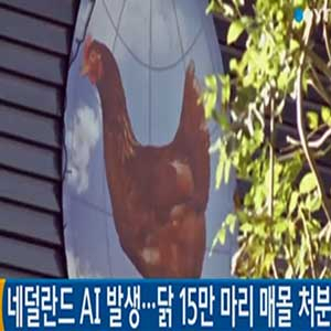 유럽 고병원성 AI 비상 사진. YTN 뉴스캡처