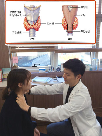 자가면역체계에 이상이 생기면서 발생하는 갑상선염은 갑상선 기능 저하증이나 항진증을 유발한다. 매일신문 DB