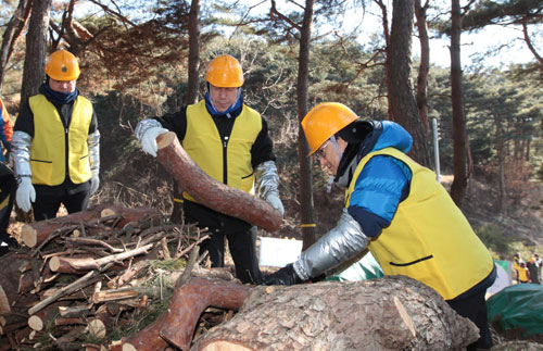 산림청 직원들이 시무식 후 결의대회와 소나무재선충병 방제작업을 벌이고 있다. 포항시 제공