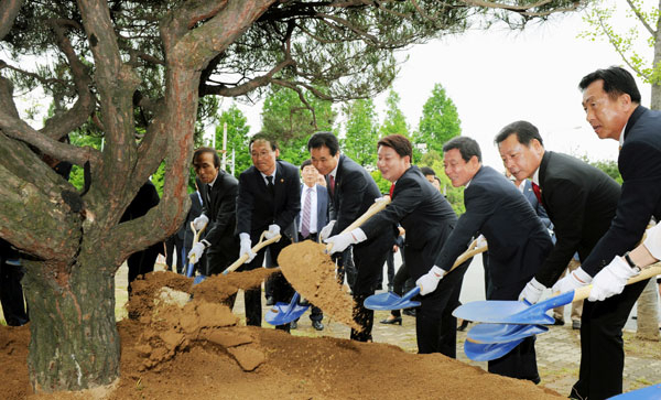 대구 동구 동대구역 주변 가로수가 동대구복합환승센터 공사에 걸림돌이 된다는 이유로 베어지는 등 몸살을 앓고 있다. 대구 동구 효신로 양쪽 인도 가로수인 은행나무 37그루가 밑동 10여㎝ 높이만 남긴 채 잘려 있다. 정운철 기자 woon@msnet.co.kr