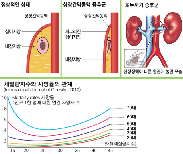 고혜진 경북대병원 가정의학과 교수는 