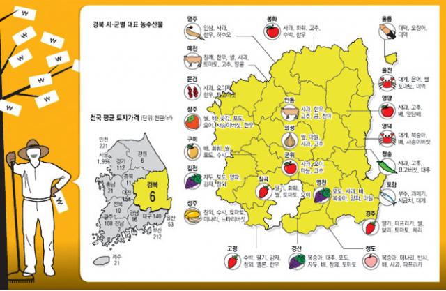 최연소 귀농인 이장에 추대된 상주 박종관 씨가 여물기 시작하는 친환경 포도를 확인하며 활짝 웃고 있다. 고도현 기자