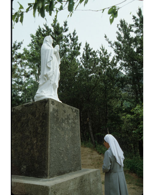 울릉 도동성당 성모상. 매일신문DB