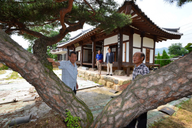 김천 영일 정씨 교리공파 문중 후손들이 문중 서당으로서 많은 선비를 길러내 문명을 떨쳤던 봉암 서당을 둘러보고 있다. 정운철 기자 woon@msnet.co.kr