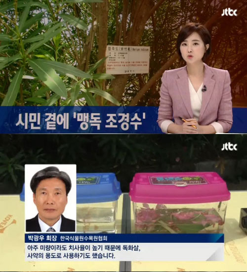 사진. JTBC 뉴스 캡처