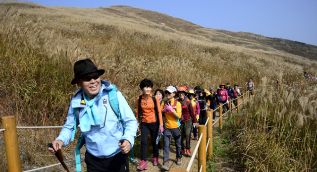 엄홍길 대장이 23일 화왕산에서 등산객들과 함께 억새밭길을 걷고 있다. 