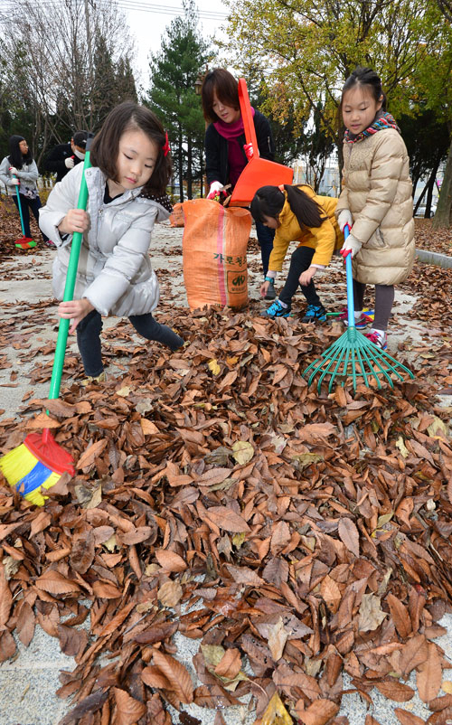 대구 도심 곳곳을 뒤덮은 낙엽을 청소하기 위한 