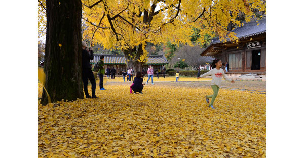 전주 향교 명륜당에서 관광객들이 추억을 쌓고 있다. 안봉주 전북일보 기자