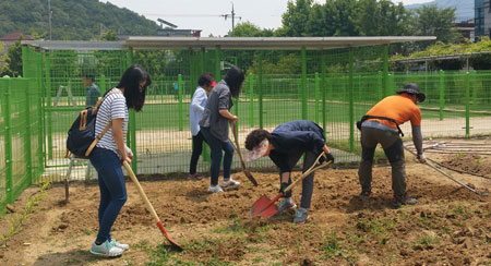 대구방송통신중학교 청소년반 학생들이 교내에 마련된 텃밭에서 도시농업 체험을 하고 있다. 대구시교육청 제공