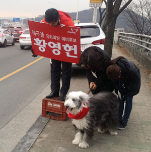 황영헌 북을 새누리당 예비후보가 애완견 보솜이와 산격대교에서 인사하고 있다.