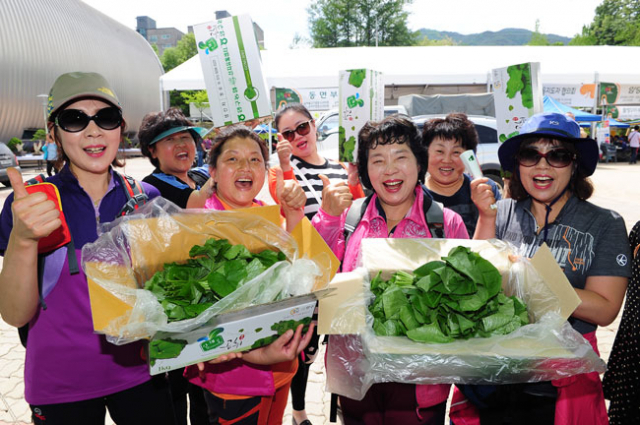 양구 곰취축제를 찾은 관광객들