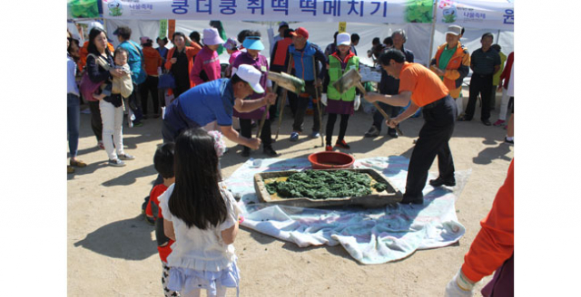 홍천 내면농협 백두대간 내면 나물축제