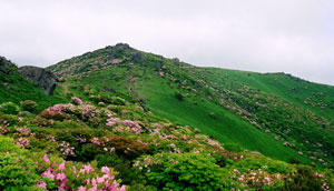 소백산 전경 영주시 제공