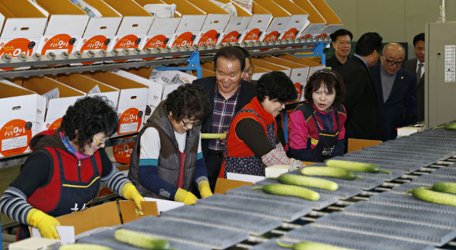 이정백 상주시장이 지난 3월 상주친환경시설 오이 포장 작업현장을 방문, 관계자들을 격려하고 있다.