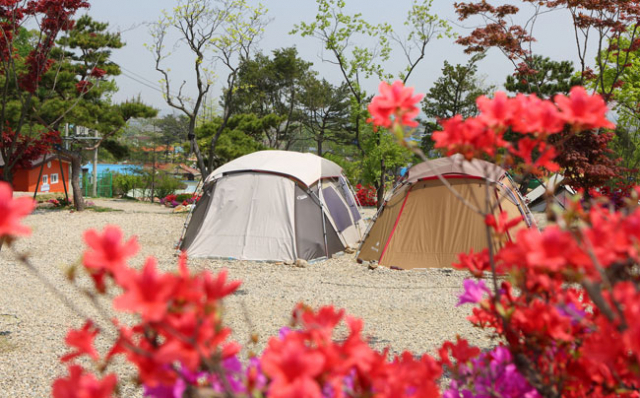 김포시 한강오토캠핑장