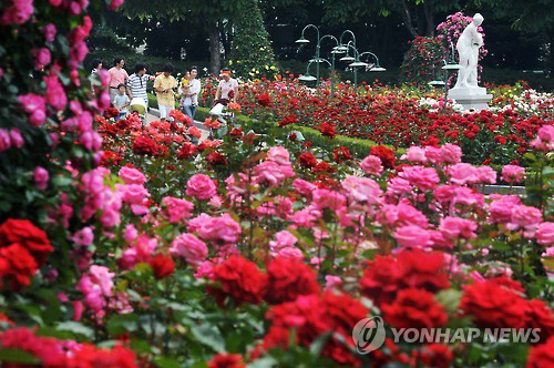 사진. 연합뉴스 출처.