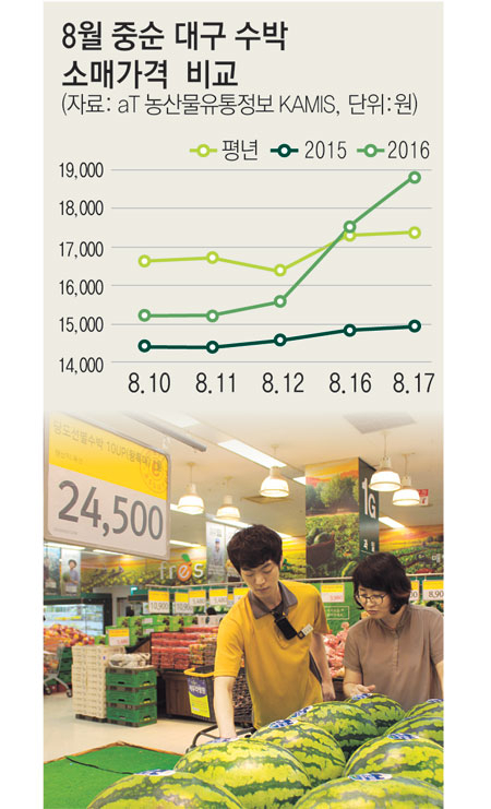 8월 중순 늦여름까지 폭염이 이어지자 무더위를 피하려는 소비자 수요가 늘면서 수박 가격이 하늘을 찌르고 있다. 17일 이마트 만촌점에서 수박 한 통이 평소보다 비싼 2만4천500원에 판매되는 모습. 이마트 제공