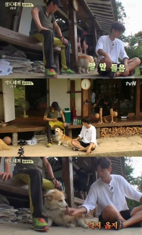 사진. tvN 삼시세끼 캡처