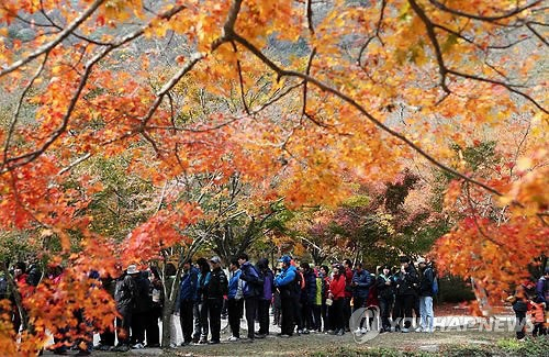 사진. 연합 뉴스