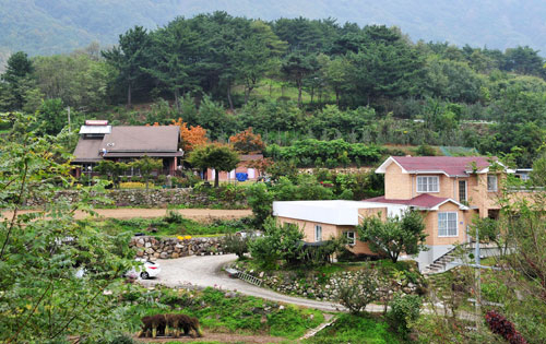 군위군 부계면 팔공산 자락에 지어진 전원주택이 한 폭의 그림 같다. 팔공산터널 효과를 기대하는 전원주택 건축은 최근 군위에서 급증세를 보이고 있다. 군위군 제공