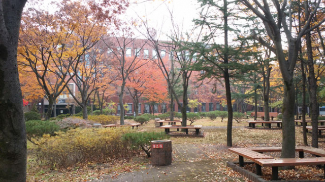 현재 소공원으로 활용되고 있는 호산대 생태 숲 유치원 조성 예정지.