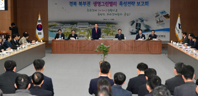 경상북도는 지난해 한반도 허리 경제권의 중심축을 만들기 위해 바이오