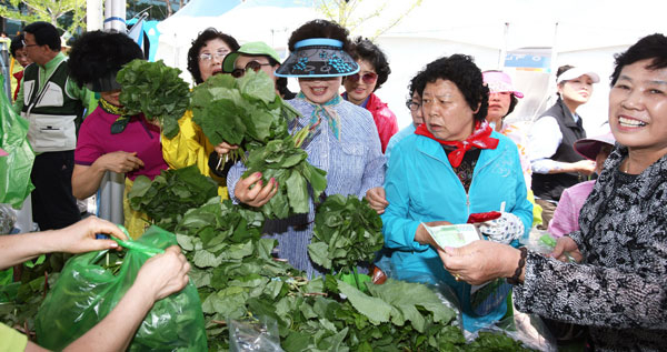 영양의 싱그러운 산나물을 비롯한 다양한 먹거리와 즐길거리를 한자리에서 만날 수 있는 \