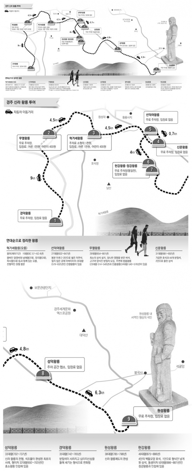 성덕왕릉 진입로는 굴곡진 소나무가 숲을 이루고 있다.