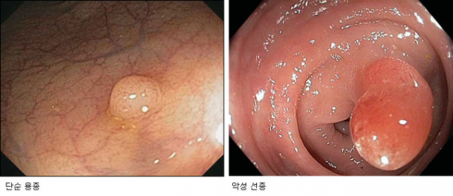 구자일 구병원 병원장은 