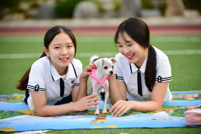 구남보건고 홍보모델 학생들이 교정에서 애완견과 기념사진을 찍고 있다. 학교는 내년부터 2개 학급 규모의 반려동물케어과를 신설, 신입생을 모집한다. 구남보건고 제공