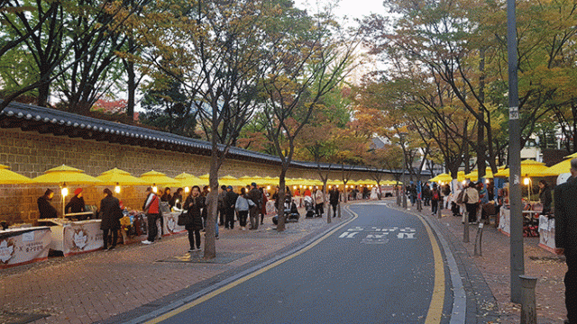 국화꽃으로 단장한 조계사.