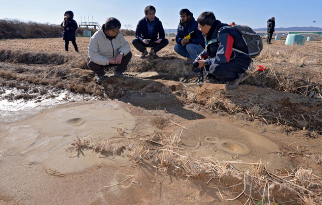 손문(왼쪽 첫 번째) 부산대학교 지질환경과학과 교수, 김영석(왼쪽 네 번째) 대한지질학회 구조지질분과위원장 등 지질 전문가들이 19일 오후 포항 흥해읍에서 액상화 현상 중 하나인 샌드 볼케이노(모래 분출구)를 관찰하고 있다. 김영진 기자 kyjmaeil@msnet.co.kr