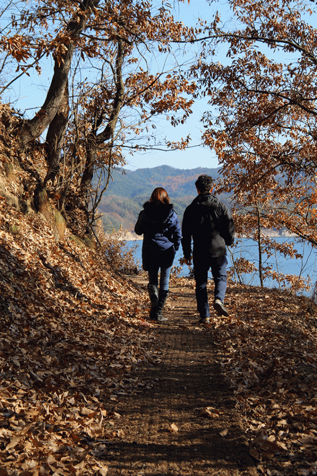 안동 선비순례길만의 차별점을 꼽자면 안동호 수면 위를 걸을 수 있는 1㎞에 달하는 