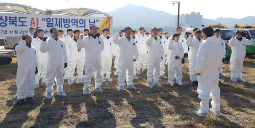 경상북도가 고병원성 AI 발생을 막고 청정지역을 유지하기 위해 전국 최초로 25일을 