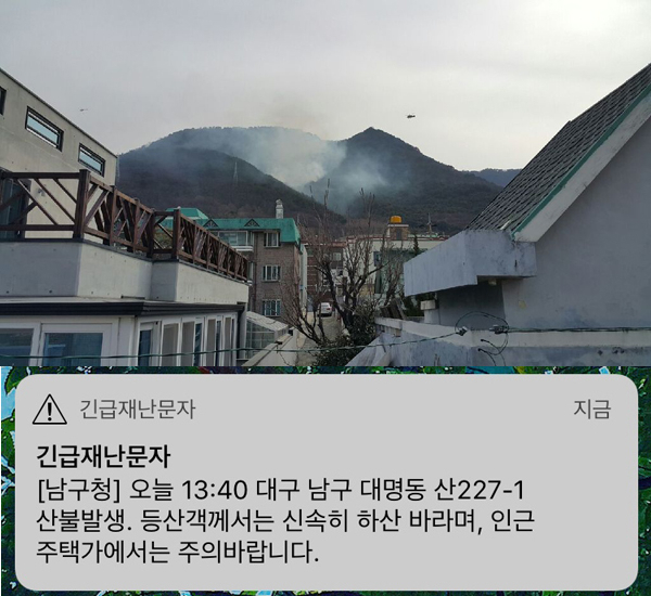 대구 앞산 화재 현장 사진(독자 손길상 씨 제공) 및 대구 남구청이 앞산 산불 관련 발송한 긴급재난문자.