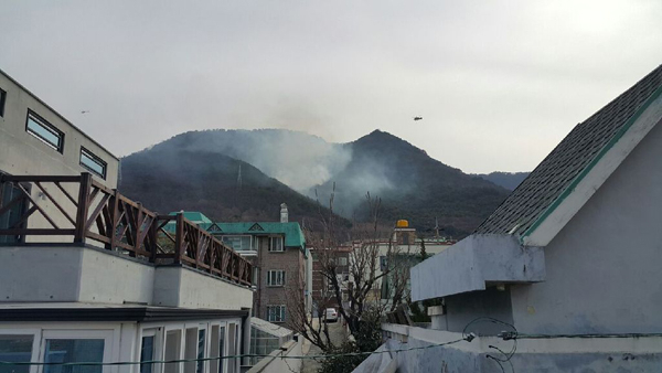 앞산 산불 당시 사진. 독자 손길상 씨 제공