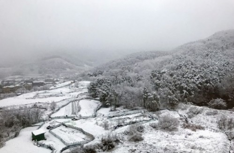 21일 새벽 대구에 많은 눈이 내려 봄을 무색하게 했다. 동구 이시아폴리스 한 아파트에서 동쪽 논밭을 내려다본 풍경이 마치 설국에 온 듯한 느낌을 준다. 연합뉴스