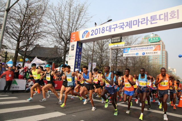 2018 대구국제마라톤대회. 마스터즈 부문 참가자(또는 엘리트 선수)들이 달리고 있는 모습. 대구시 제공