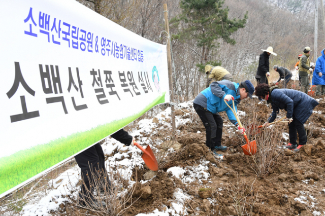 7일 산악협회 회원과 산림조합