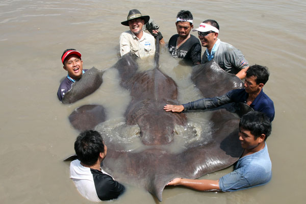 정명화(가운데 중절모·해외 낚시 탐험가) 씨가 일행들과 해외에서 대형 민물가오리(400kg 상당)를 잡을 때 모습. 정명화 씨 제공