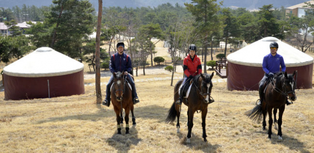 말을 탄 기수 뒤편으로 게르가 보인다. 운주산승마자연휴양림에서는 4명 이상 1박 2일 승마체험을 예약하는 이들에게 무료로 숙박할 수 있는 게르를 빌려준다. 매일신문 DB