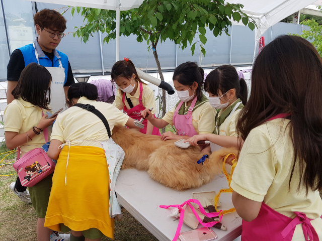 한국걸스카우트 대구