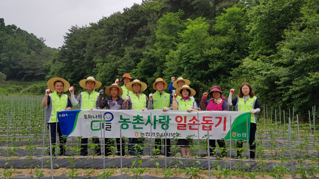 농협영주시지부 직원들이 일손돕기 행사를 벌였다.